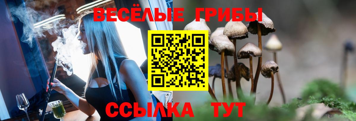 Псилоцибиновые грибы GOLDEN TEACHER  Псилоцибиновые грибы прущие грибы  Вход с VPN  Североуральск 